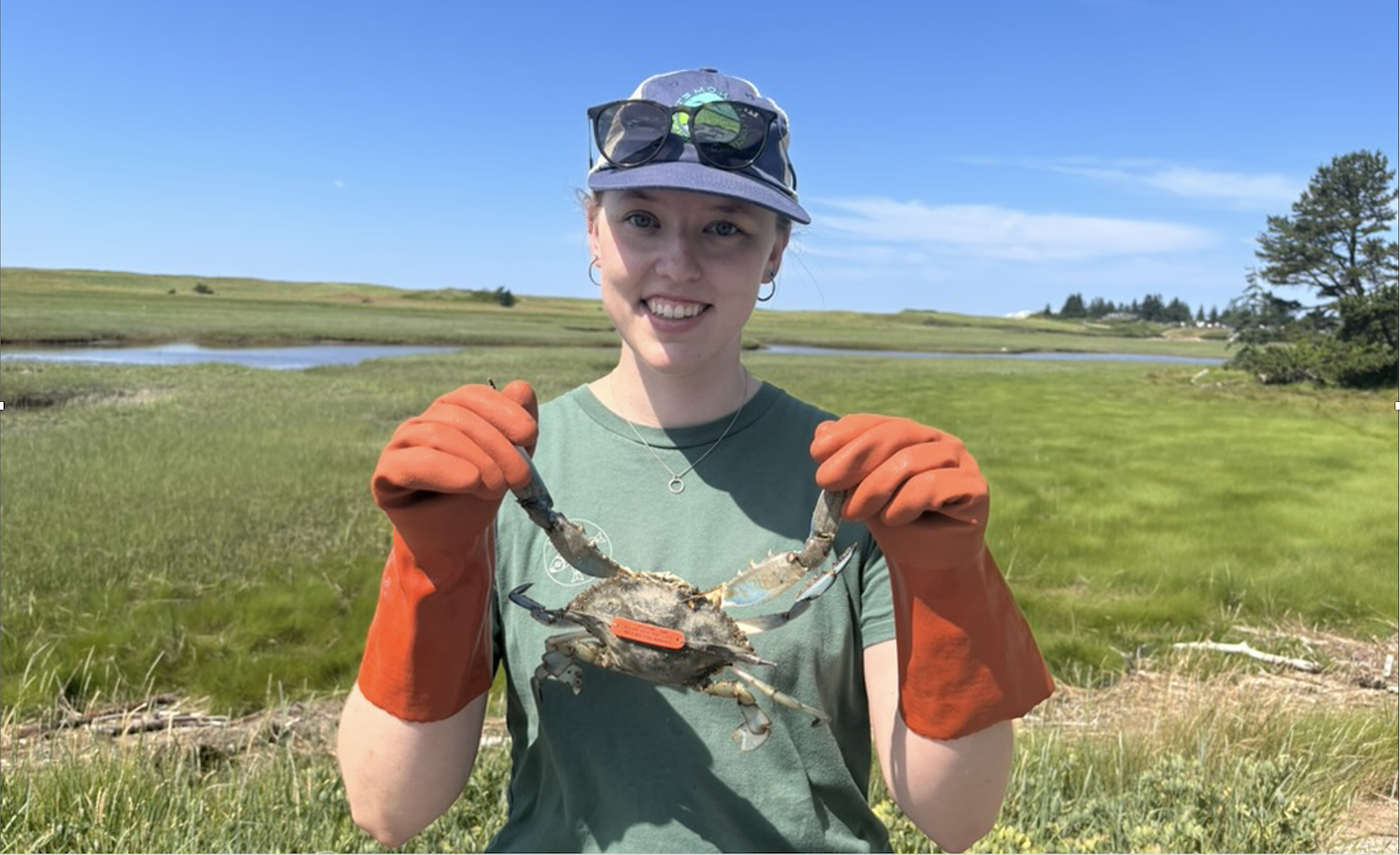 Student holds up a crab during her fieldwork